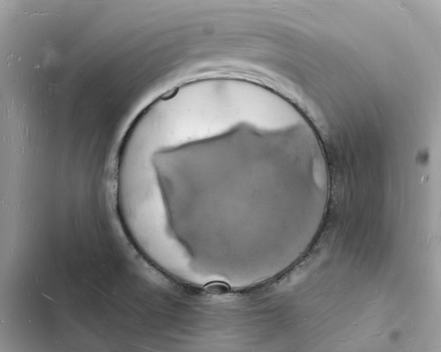 X0000103291522200809191817