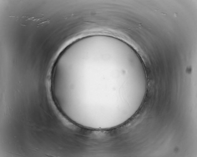 X0000103291523200809191817