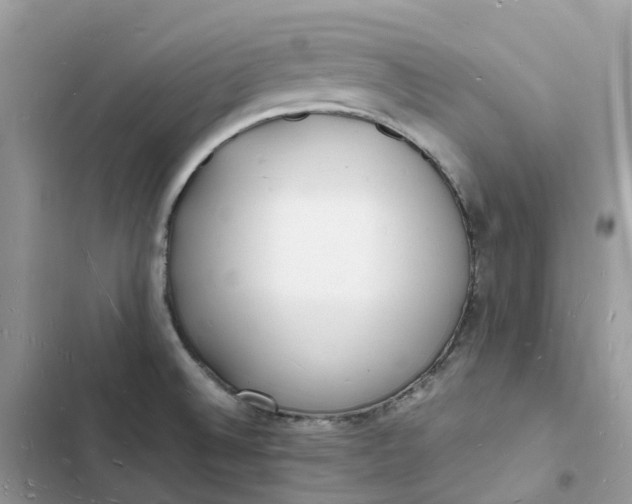 X0000103291524200809191817