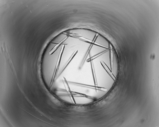 X0000103291525200809191817