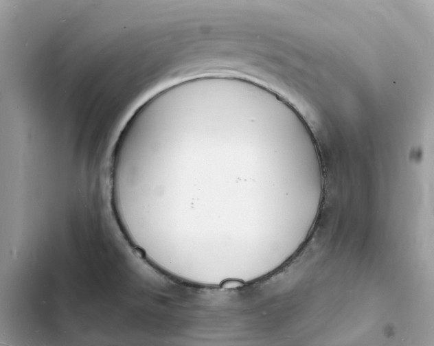 X0000103291526200809191817