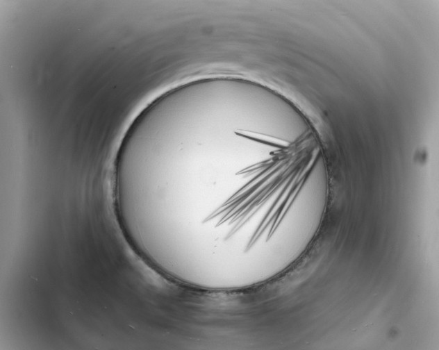 X0000103291527200809191817