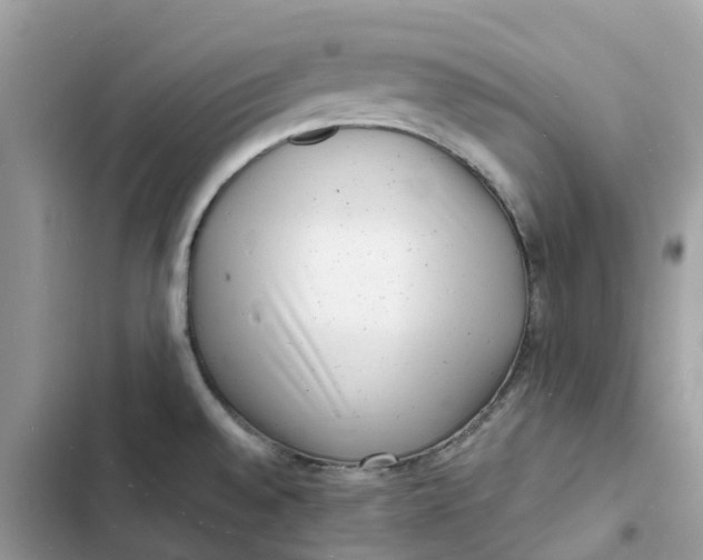 X0000103291528200809191817