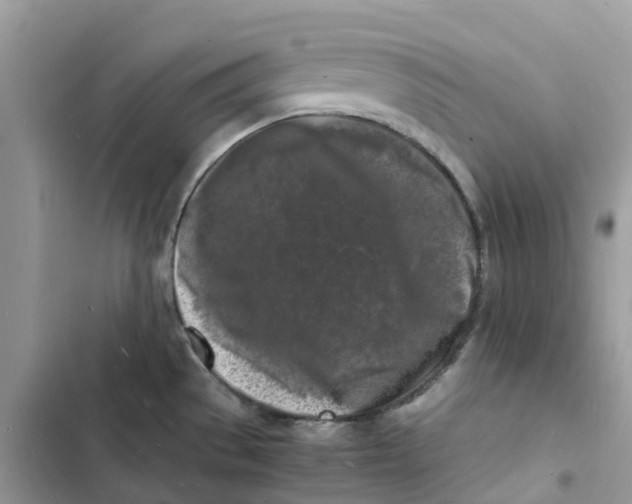 X0000103291529200809191817