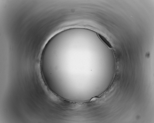 X0000103291530200809191817