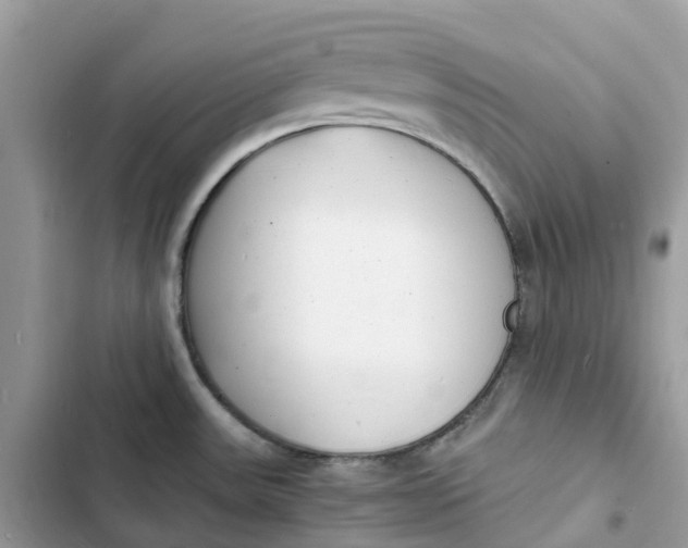 X0000103291531200809191817