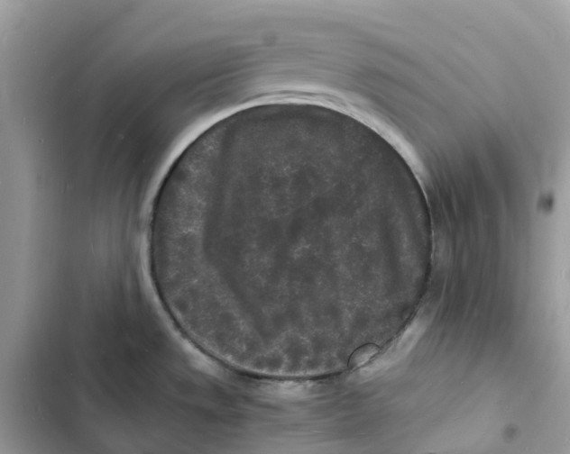 X0000103291533200809191817