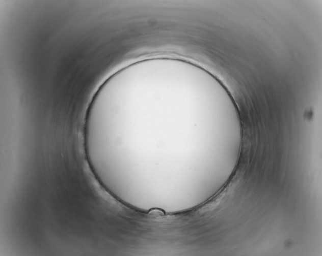 X0000103291534200809191817