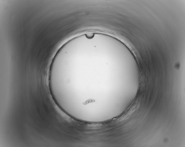 X0000103291535200809191818