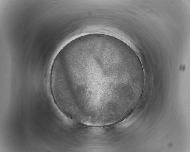 X0000103291536200809191818