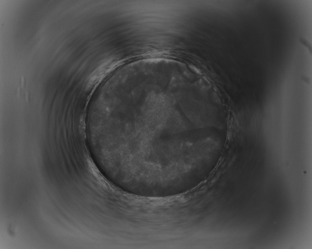X0000103290002200809261300