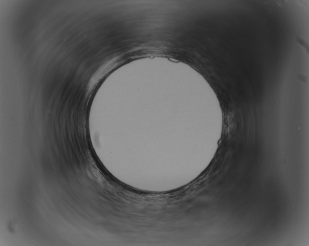 X0000103290004200809261300