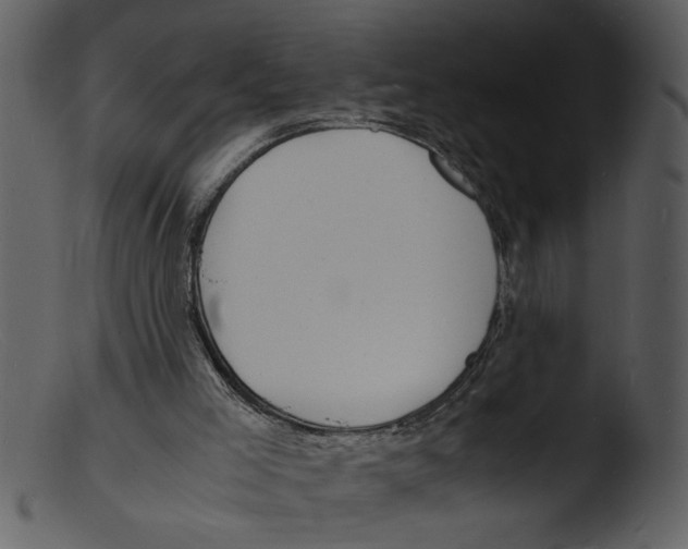 X0000103290005200809261300
