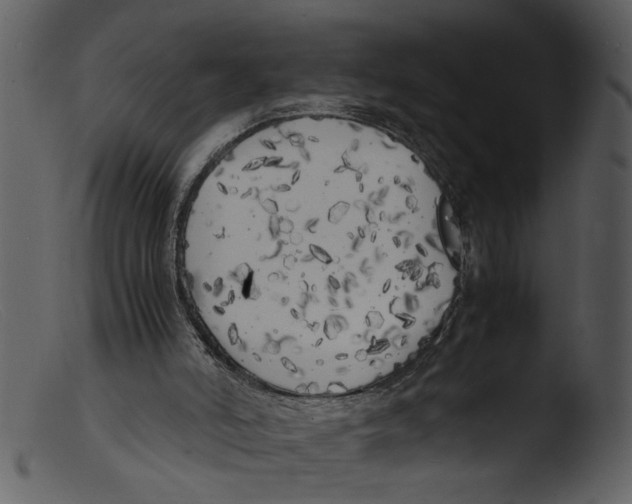 X0000103290006200809261300