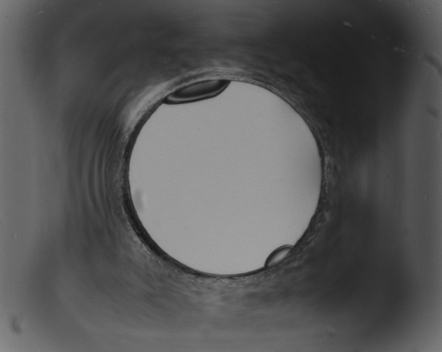 X0000103290007200809261300