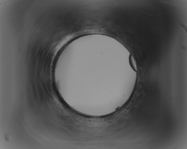 X0000103290008200809261300