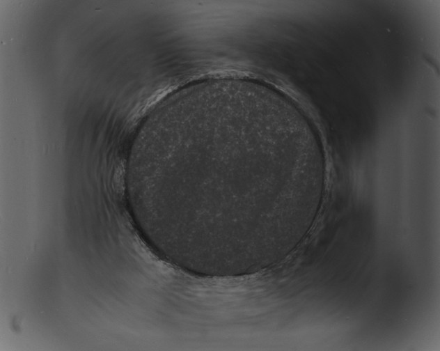 X0000103290009200809261300