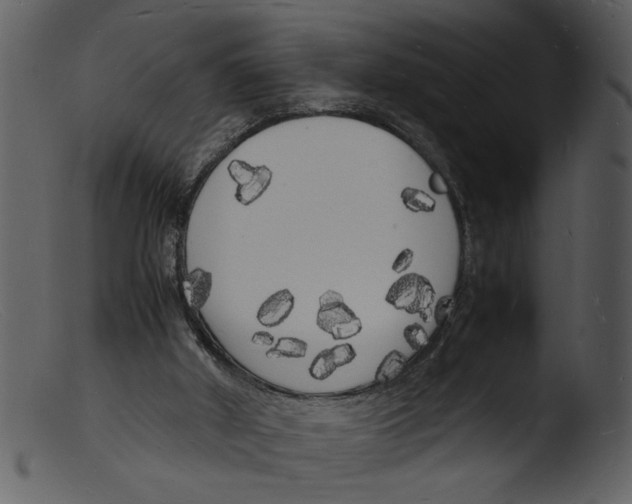 X0000103290010200809261300