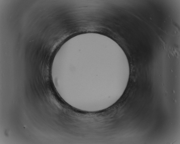 X0000103290012200809261300