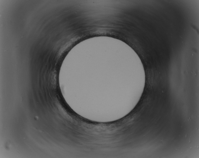 X0000103290016200809261300