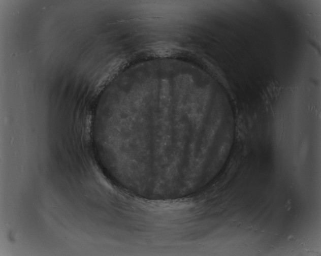 X0000103290018200809261300