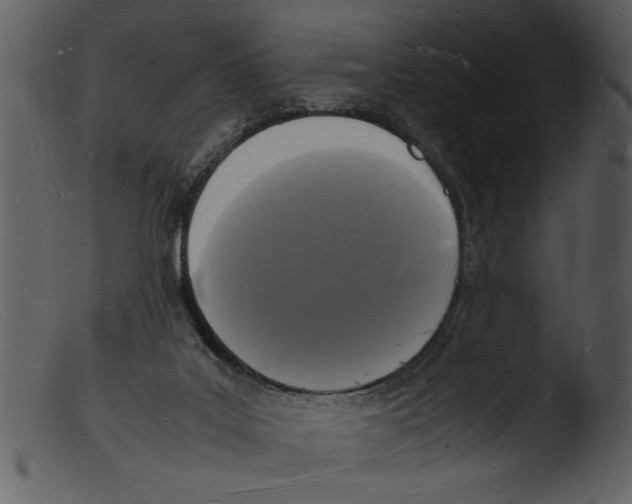 X0000103290019200809261300