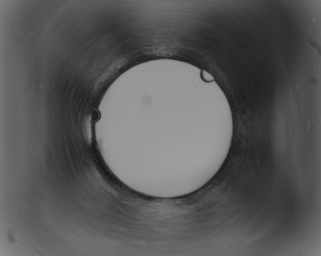 X0000103290020200809261300
