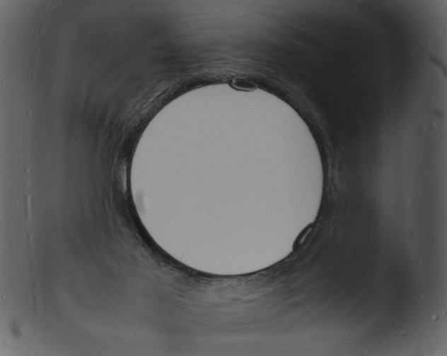 X0000103290021200809261300