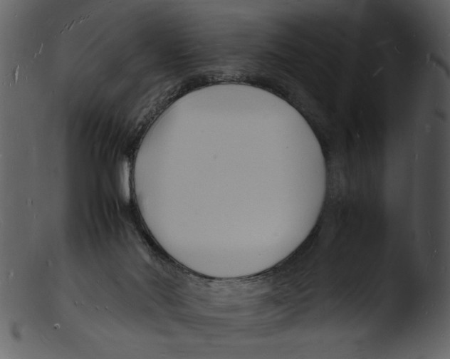 X0000103290022200809261300