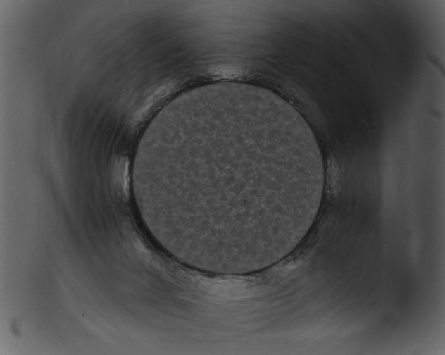 X0000103290024200809261300