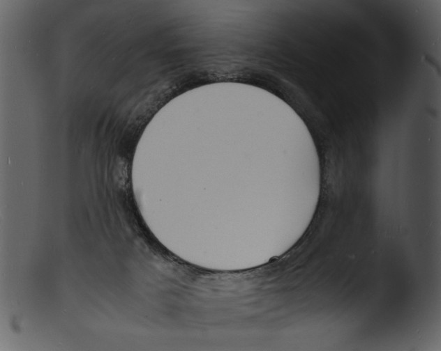 X0000103290025200809261300