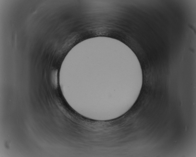 X0000103290028200809261300