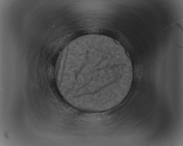 X0000103290029200809261300