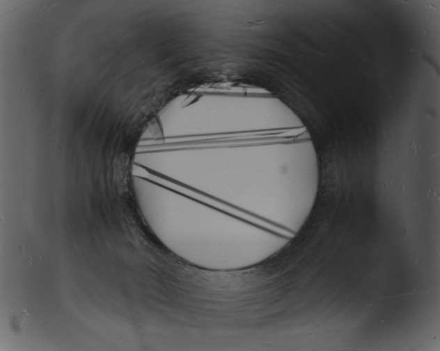 X0000103290030200809261300