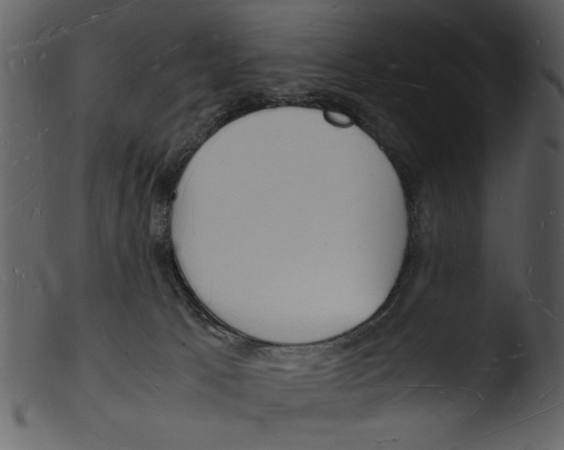 X0000103290033200809261300