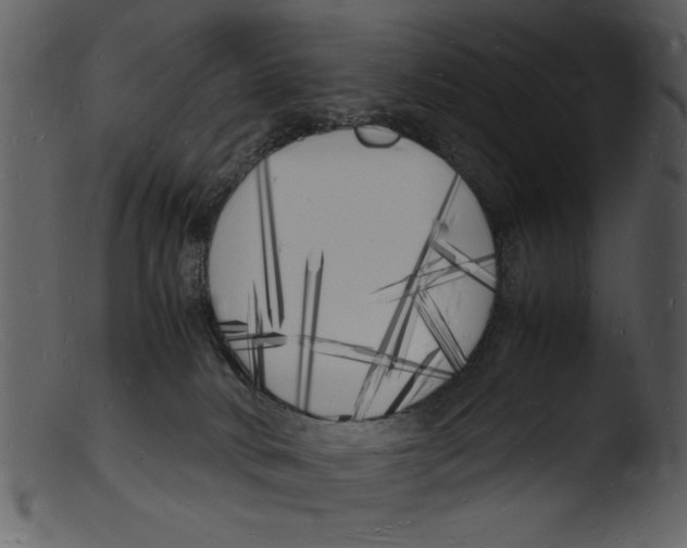 X0000103290034200809261300