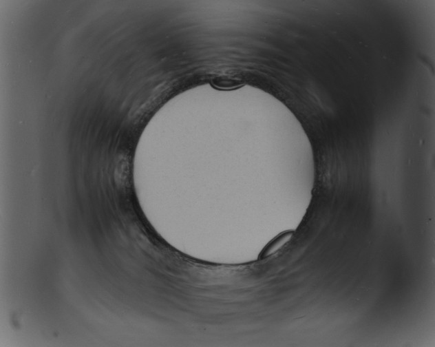 X0000103290036200809261300
