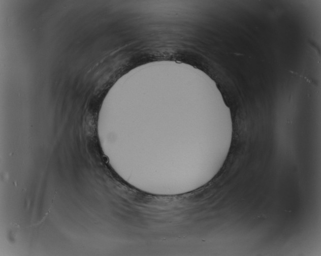 X0000103290037200809261300