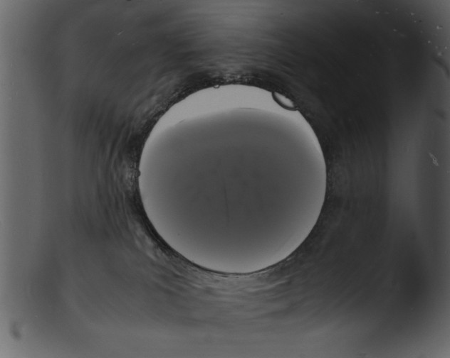 X0000103290039200809261300