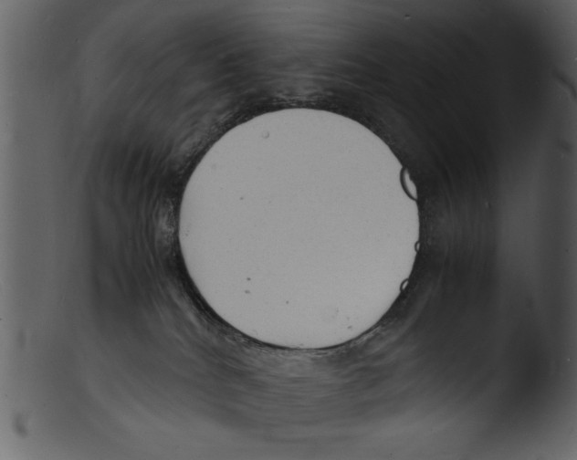 X0000103290040200809261300
