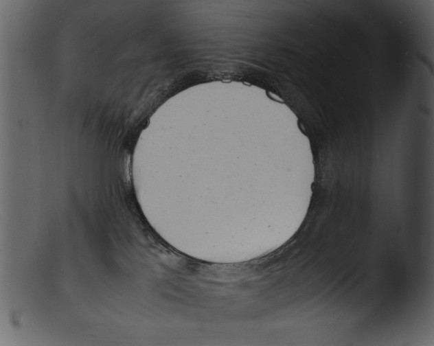 X0000103290041200809261300