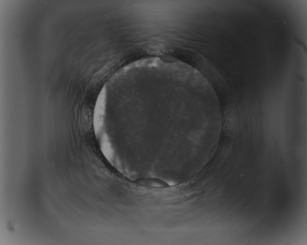 X0000103290043200809261300