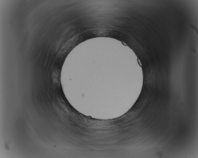 X0000103290044200809261300