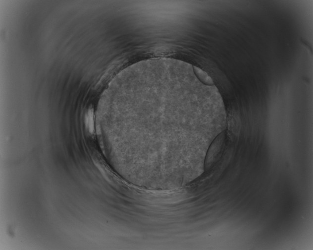 X0000103290046200809261300