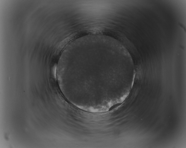 X0000103290047200809261300