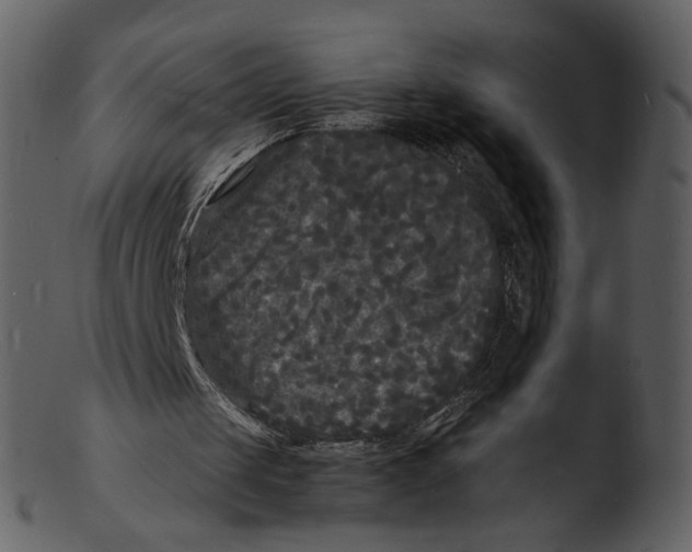 X0000103290049200809261259
