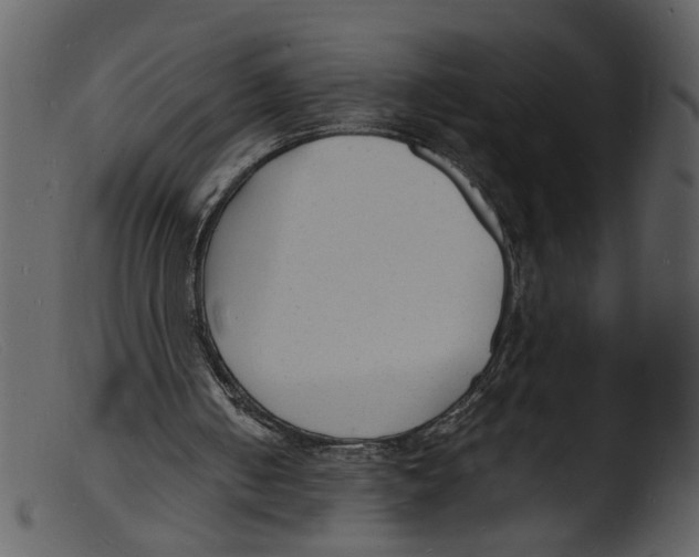 X0000103290050200809261259
