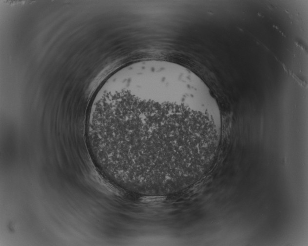 X0000103290051200809261259