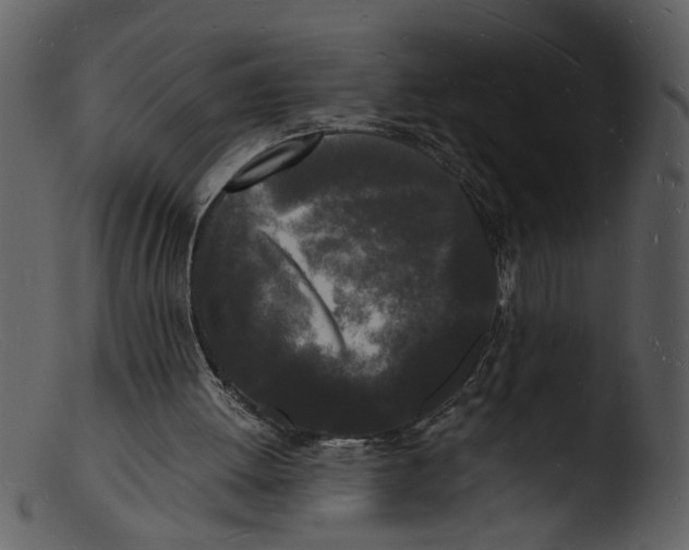 X0000103290052200809261259
