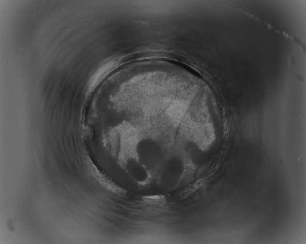 X0000103290053200809261259